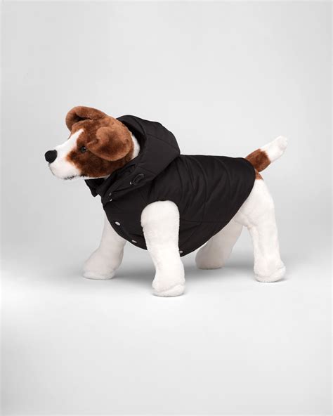 prada dog jacket